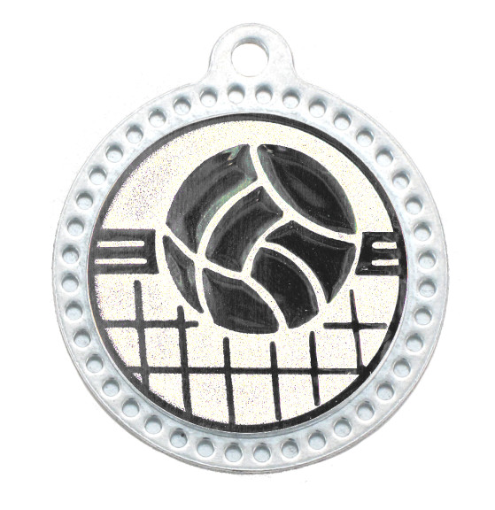 M320 VOLLEY SILVER.jpg